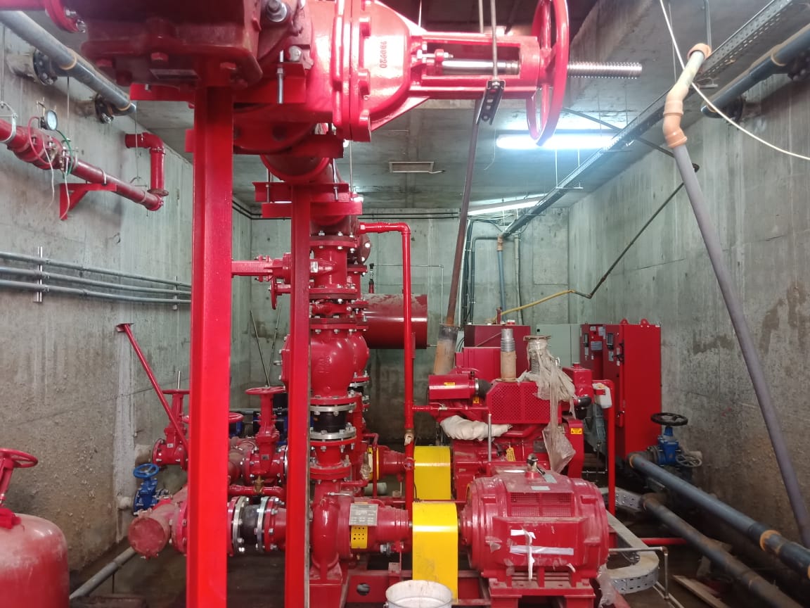 WhatsApp Image 2023-03-29 at 15.33.59